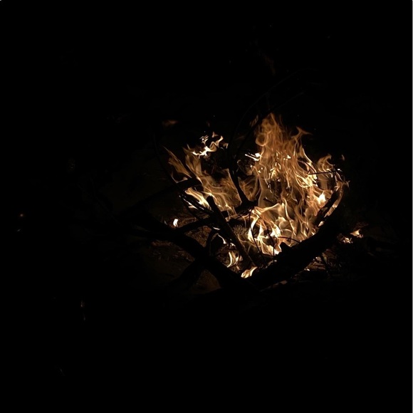 Meet your Posher, Dominique - Picture 1 of 1